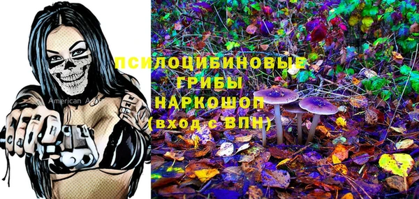 первитин Алексин