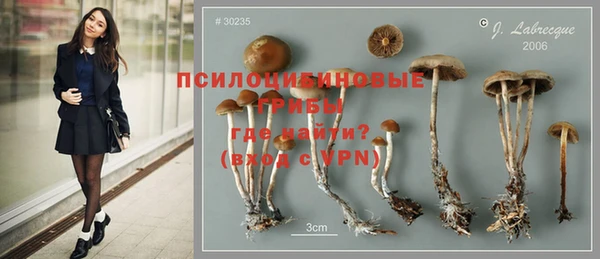 MESCALINE Абинск