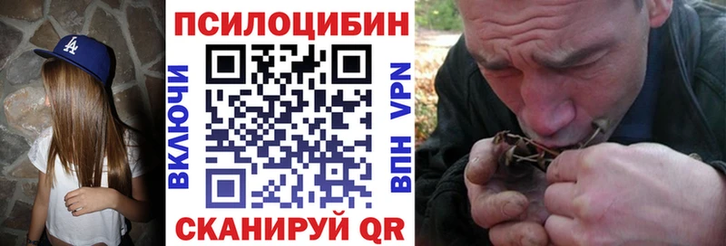 сайты даркнета клад  Сухой Лог  Псилоцибиновые грибы Psilocybine cubensis  где можно купить наркотик 