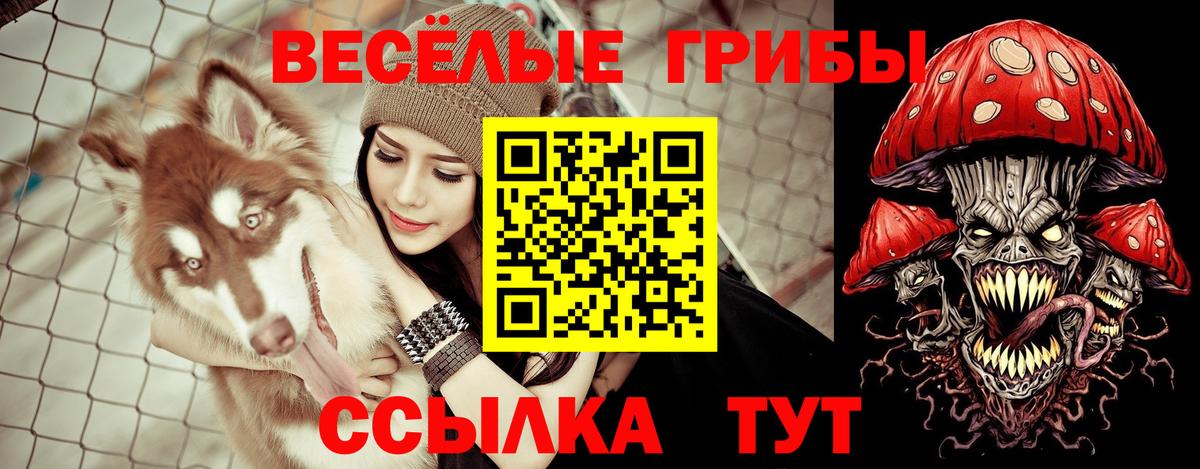 Галлюциногенные грибы MAGIC MUSHROOMS Сухой Лог